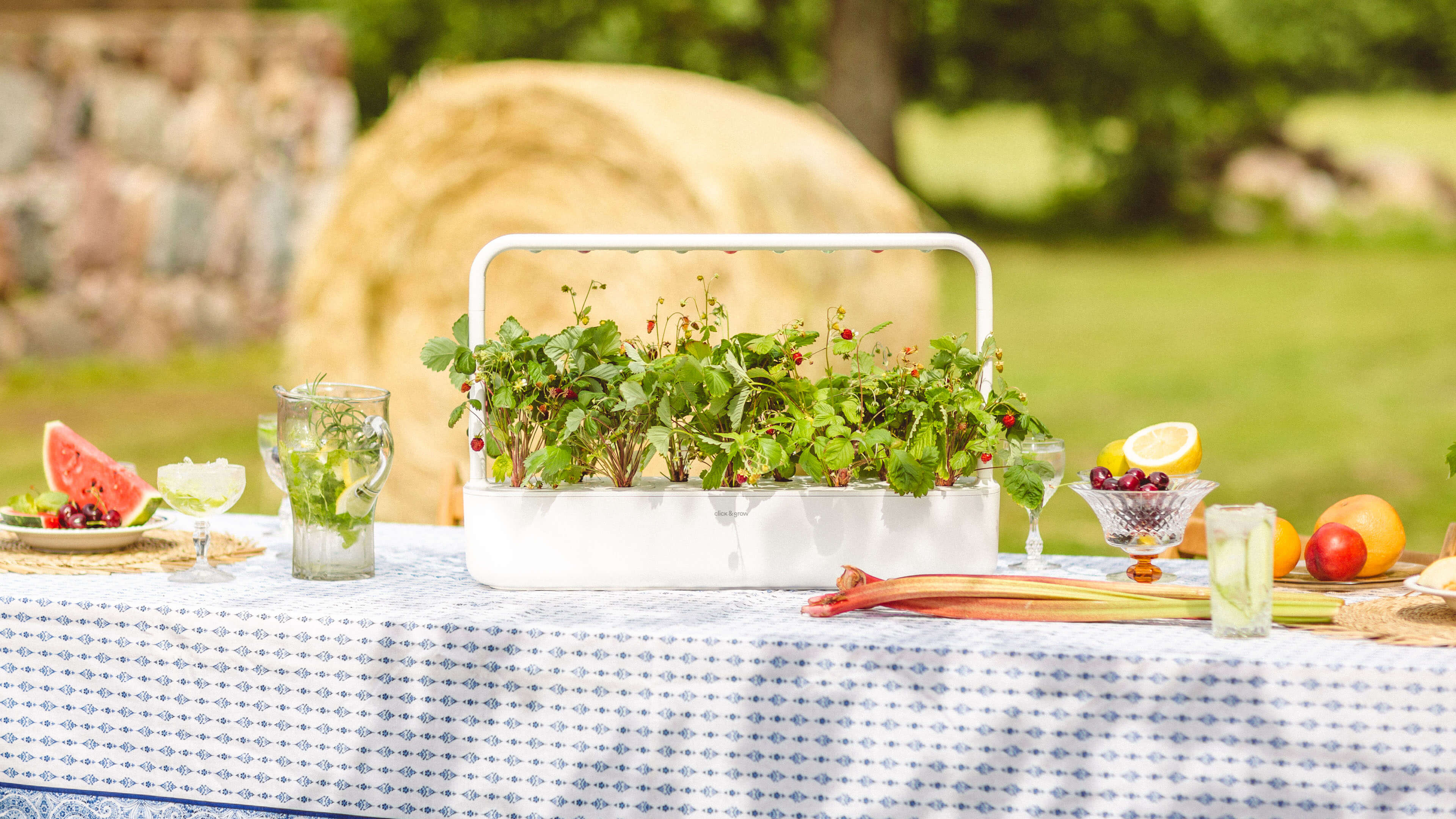 Fresh Herbs, Grown by You